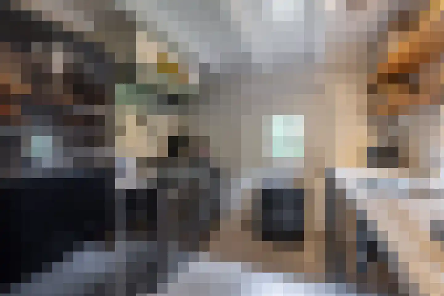 Dekkersweg 31 Haaksbergen thumbnail 17