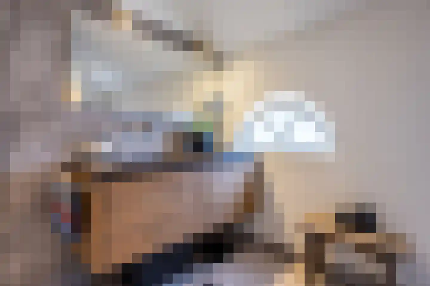 Dekkersweg 31 Haaksbergen thumbnail 29
