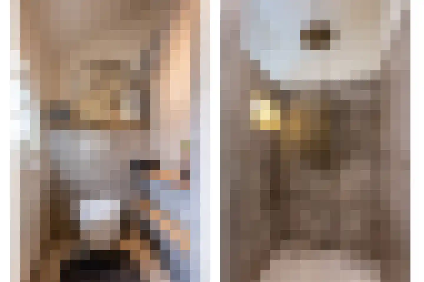 Dekkersweg 31 Haaksbergen thumbnail 33