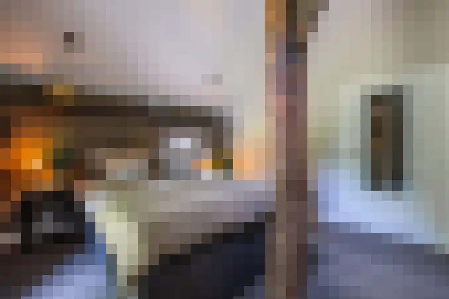 Dekkersweg 31 Haaksbergen thumbnail 35