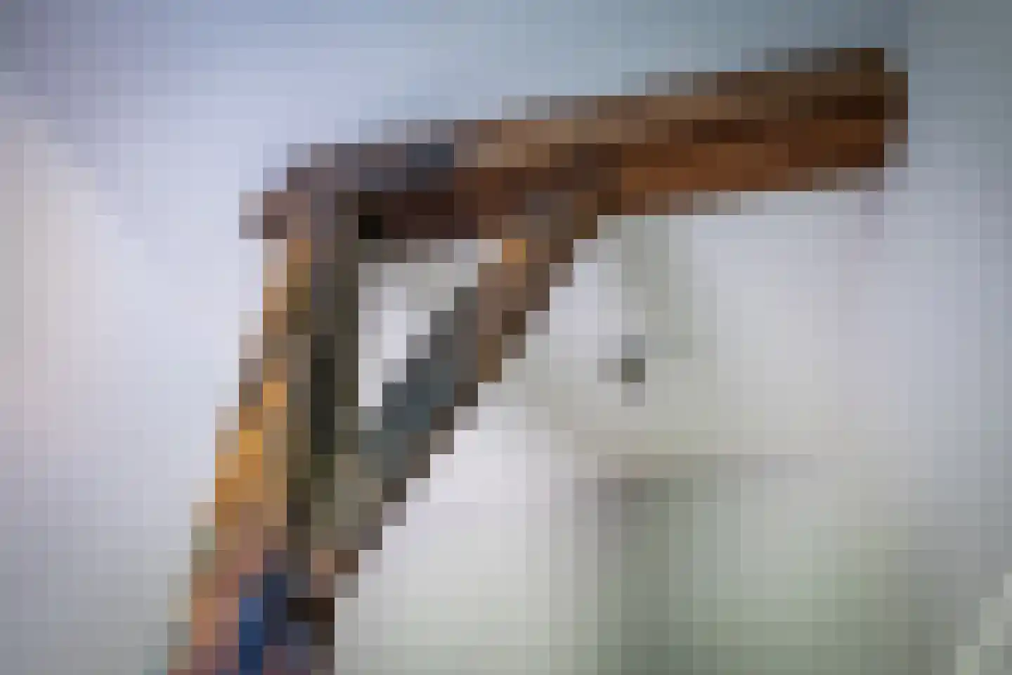 Dekkersweg 31 Haaksbergen thumbnail 36