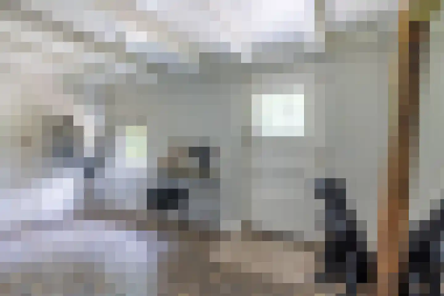 Dekkersweg 31 Haaksbergen thumbnail 40