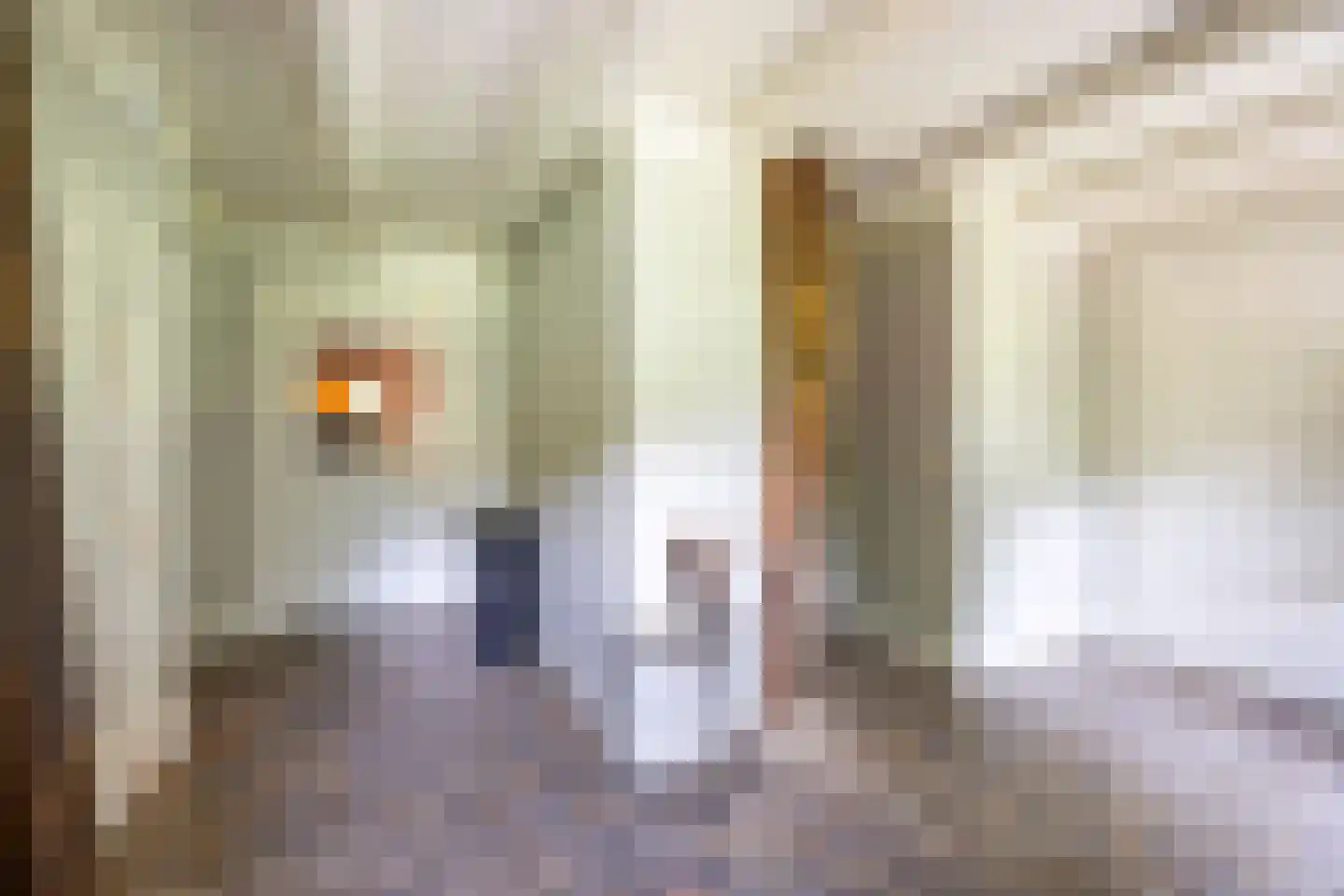Dekkersweg 31 Haaksbergen thumbnail 41
