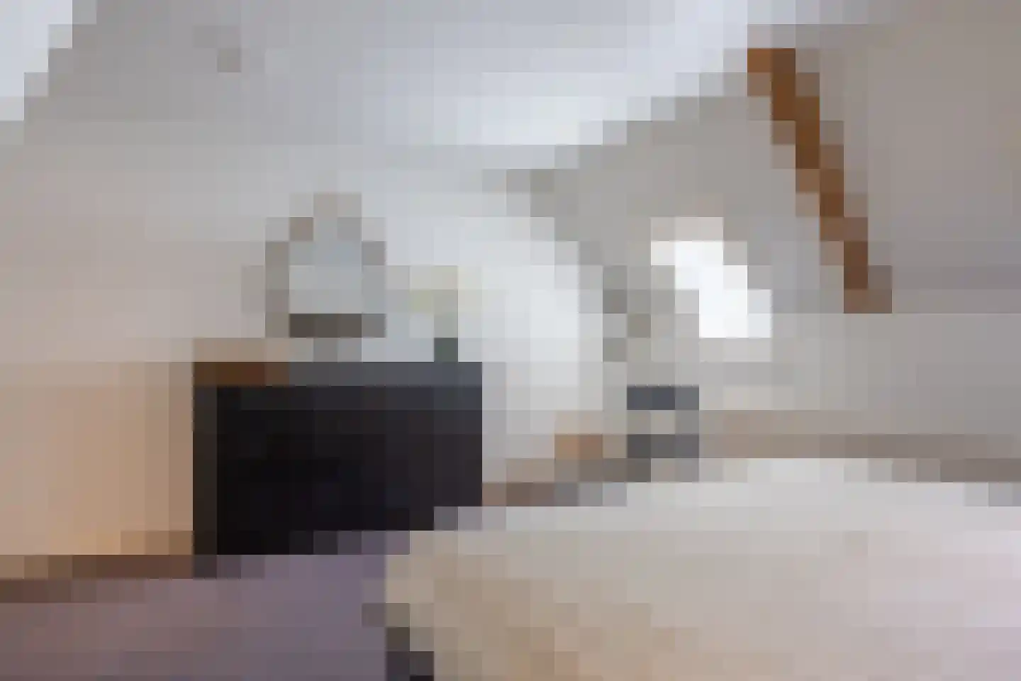 Dekkersweg 31 Haaksbergen thumbnail 47