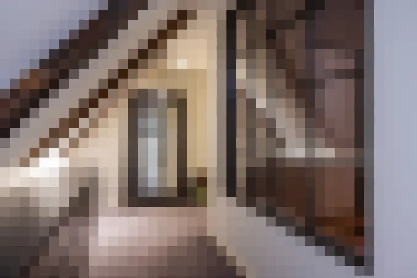 Dekkersweg 31 Haaksbergen thumbnail 50