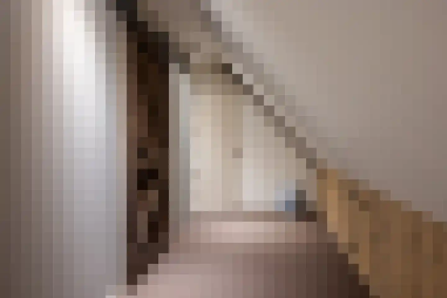 Dekkersweg 31 Haaksbergen thumbnail 51