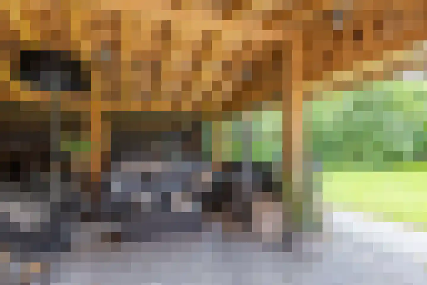 Dekkersweg 31 Haaksbergen thumbnail 54