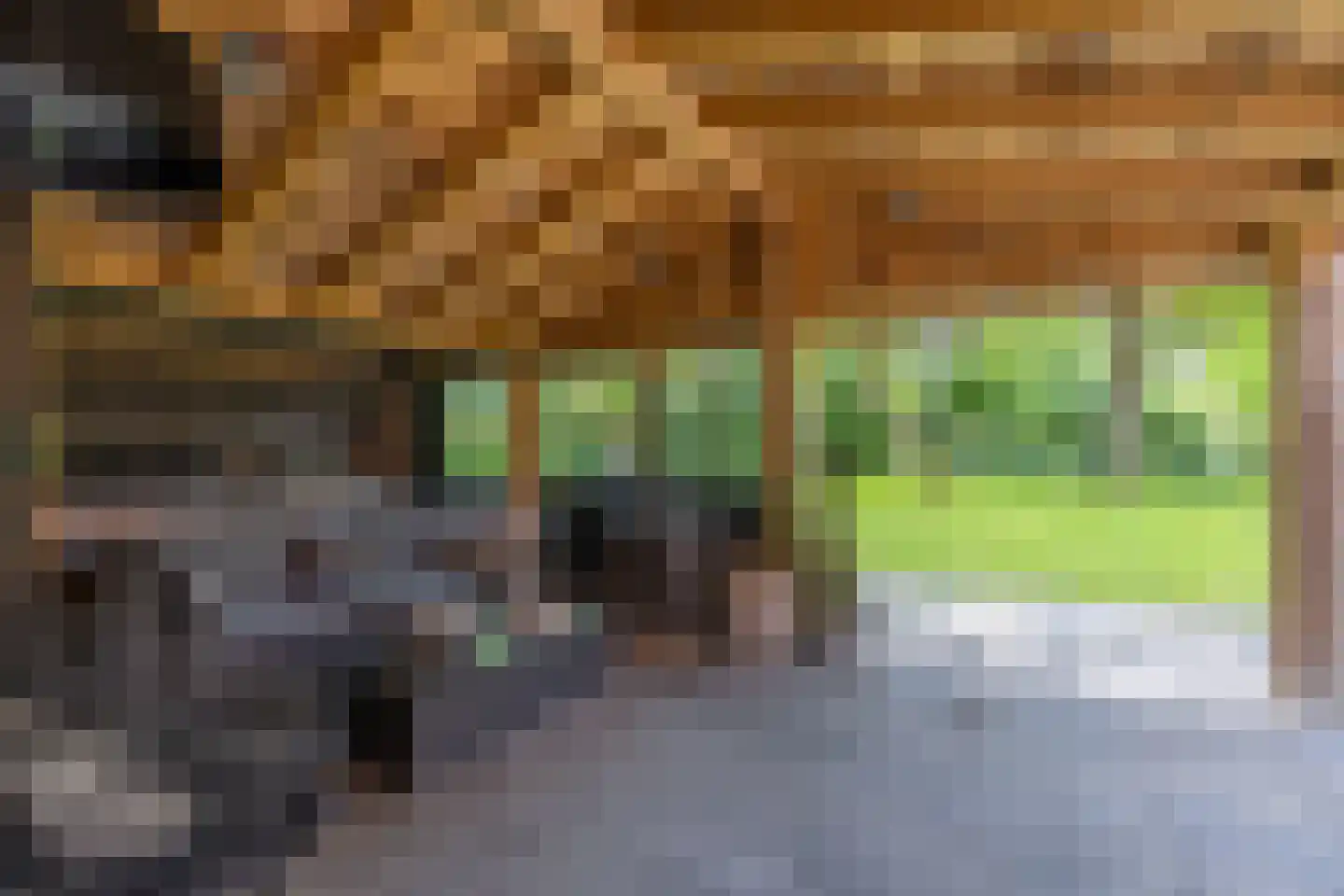 Dekkersweg 31 Haaksbergen thumbnail 55