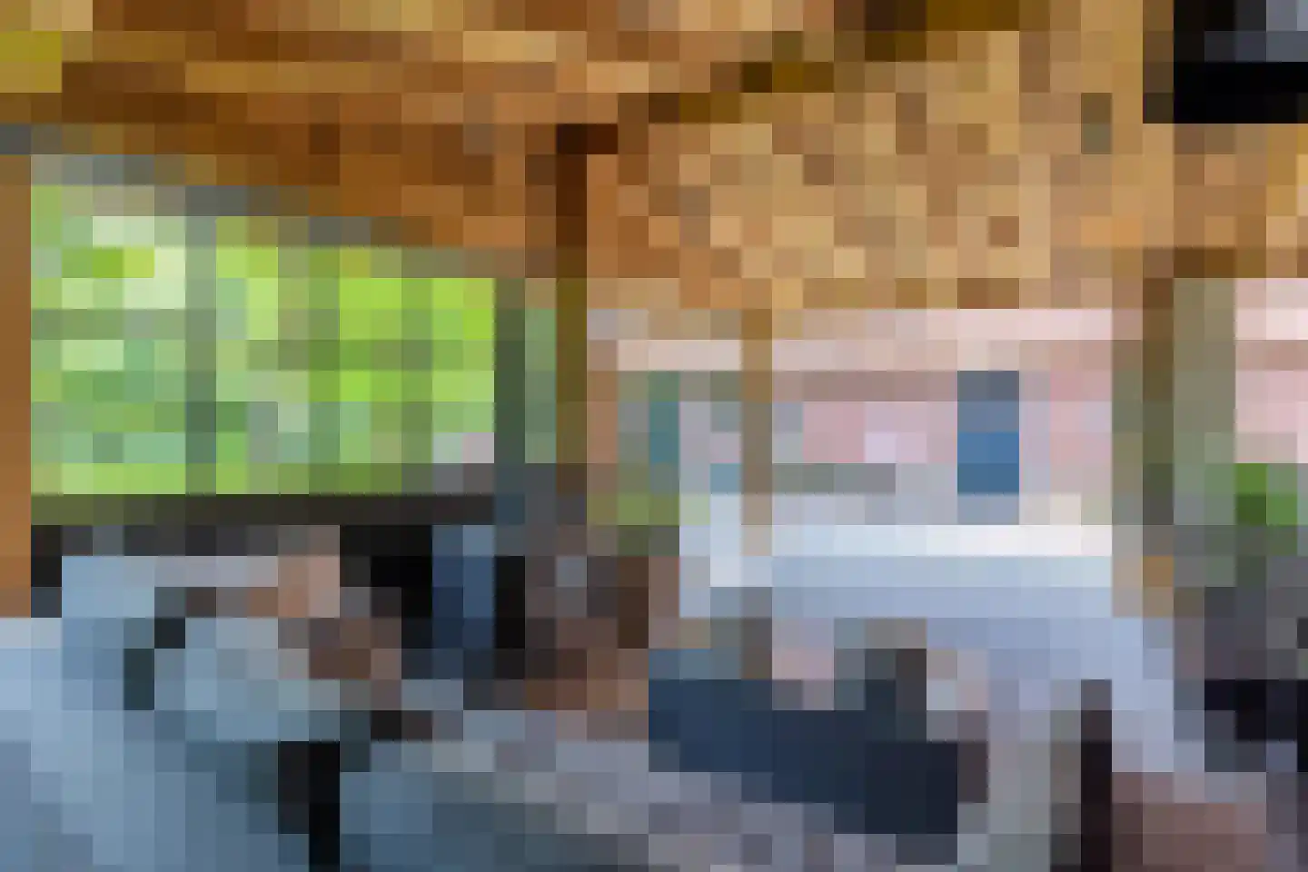 Dekkersweg 31 Haaksbergen thumbnail 58