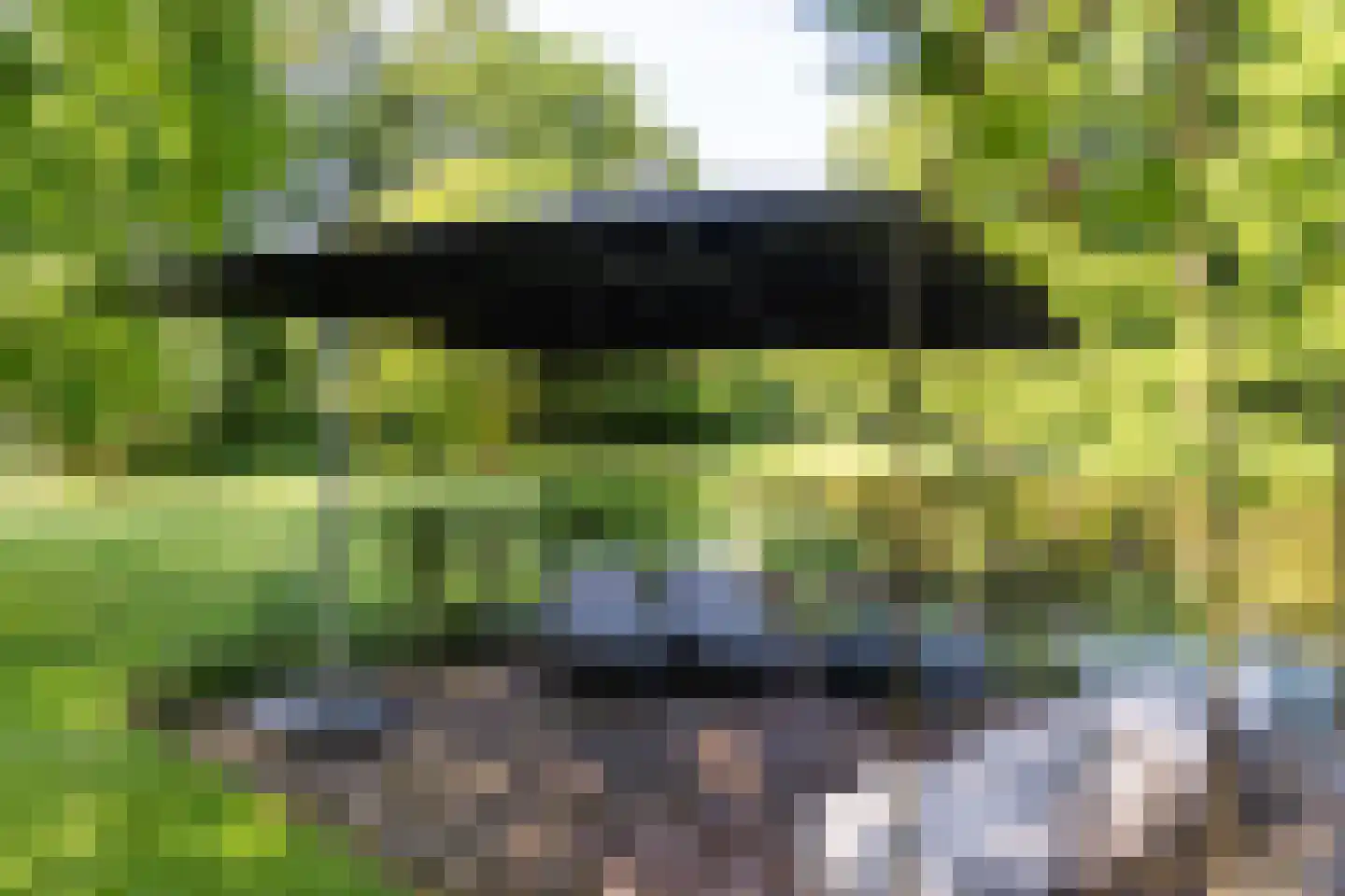 Dekkersweg 31 Haaksbergen thumbnail 59