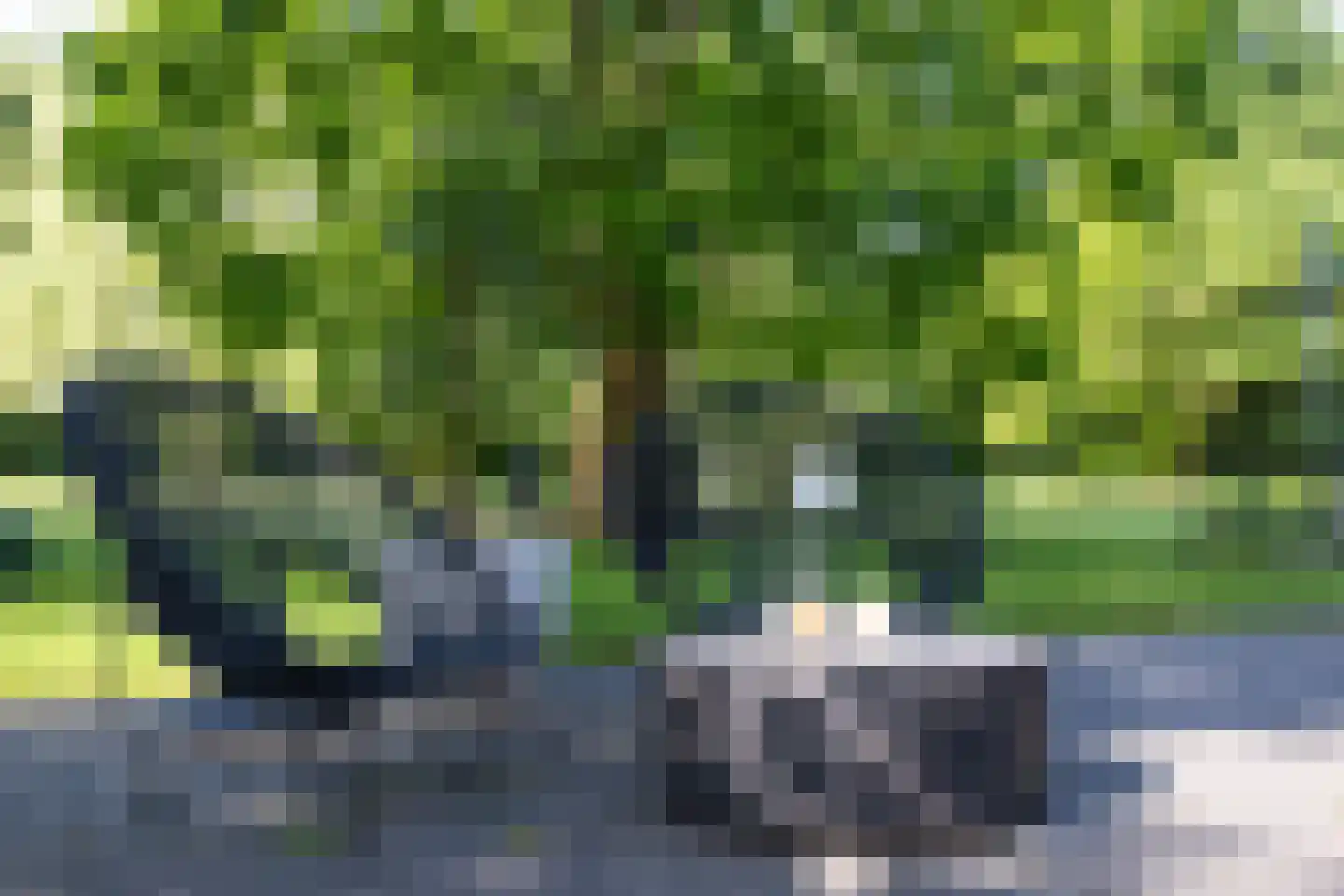 Dekkersweg 31 Haaksbergen thumbnail 60