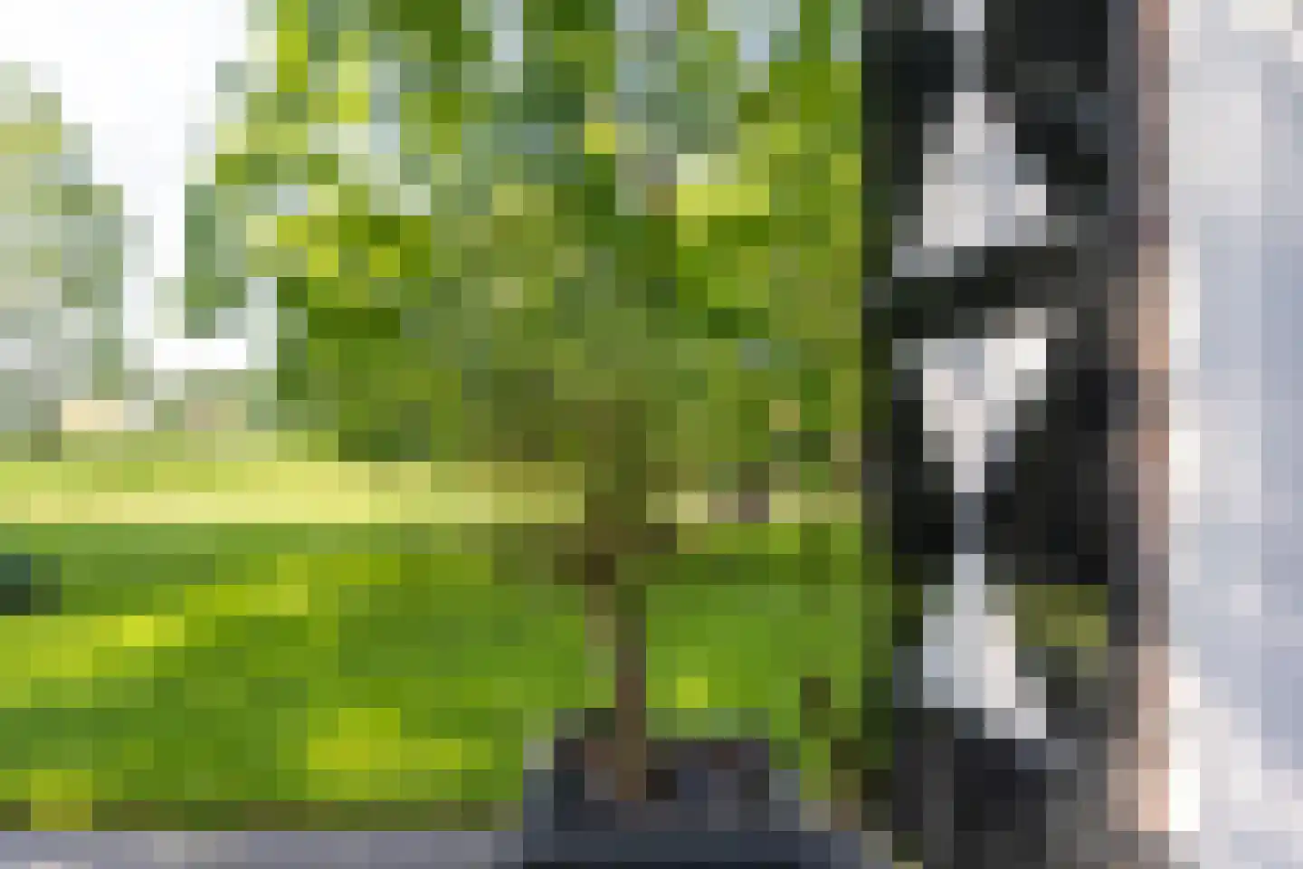 Dekkersweg 31 Haaksbergen thumbnail 61
