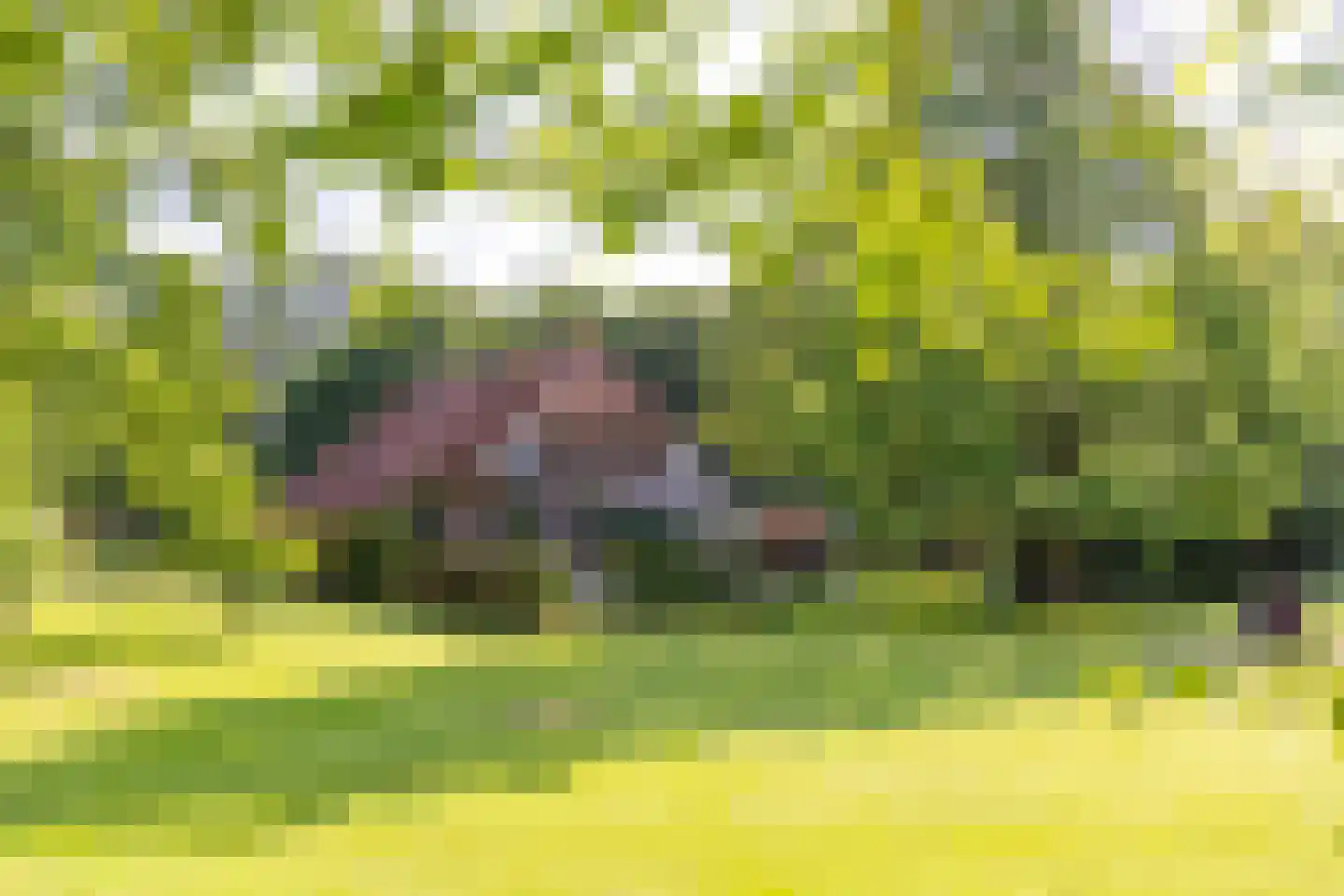 Dekkersweg 31 Haaksbergen thumbnail 62