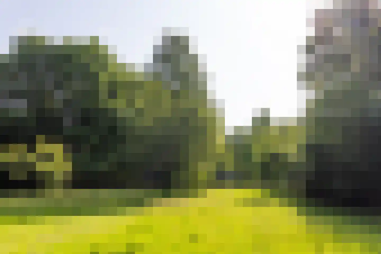 Dekkersweg 31 Haaksbergen thumbnail 63