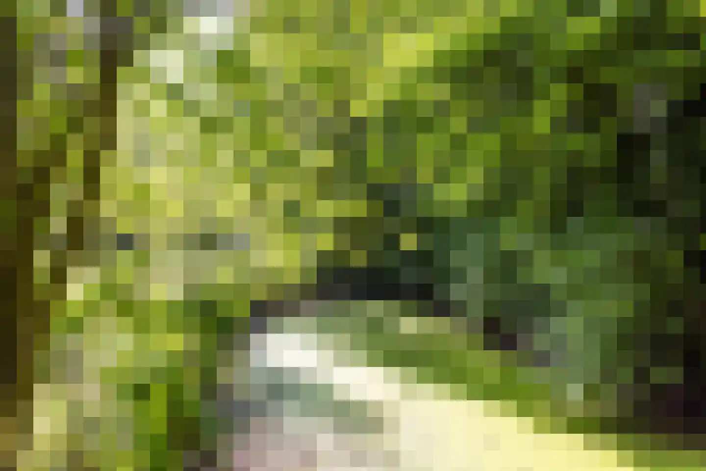 Dekkersweg 31 Haaksbergen thumbnail 64