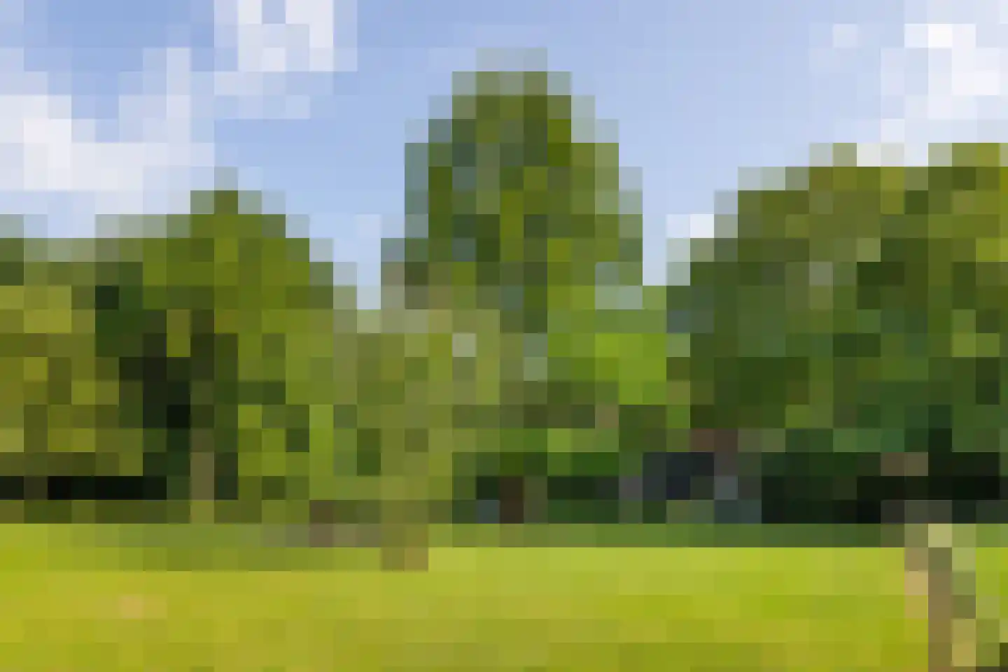 Dekkersweg 31 Haaksbergen thumbnail 65