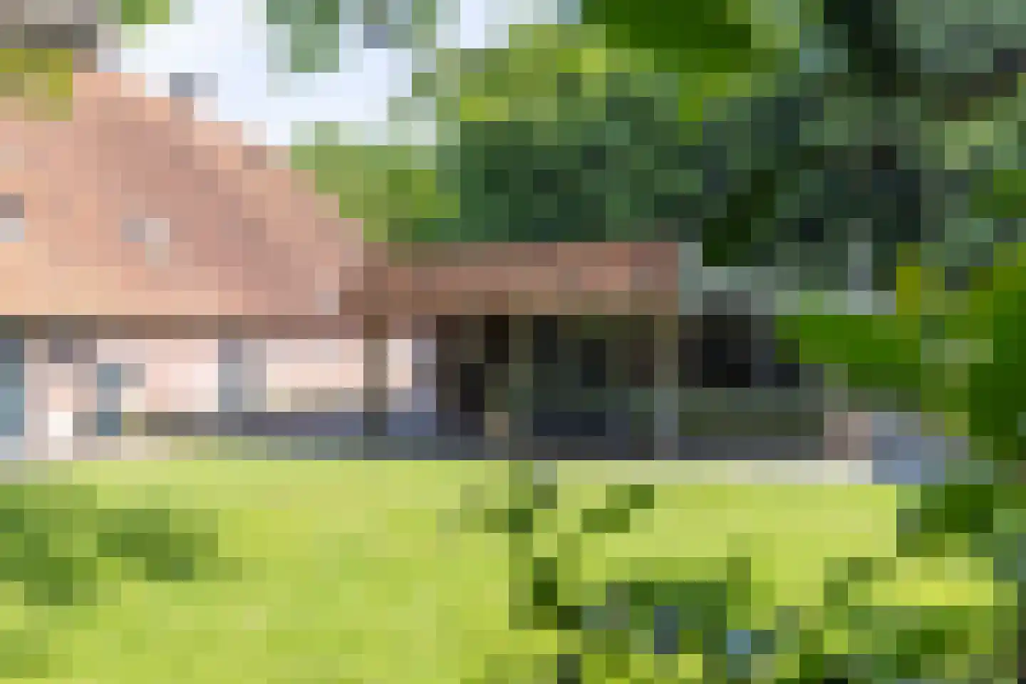 Dekkersweg 31 Haaksbergen thumbnail 66