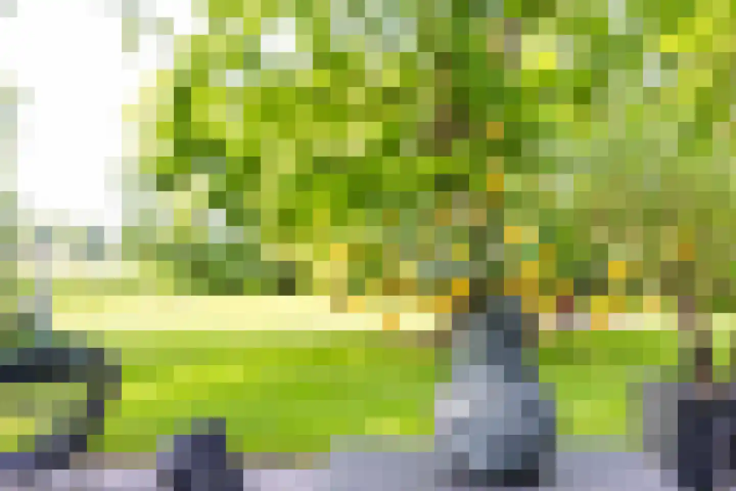 Dekkersweg 31 Haaksbergen thumbnail 68