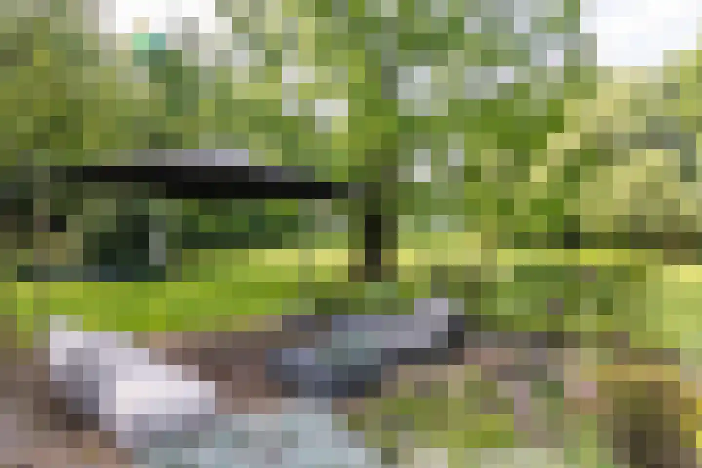 Dekkersweg 31 Haaksbergen thumbnail 70
