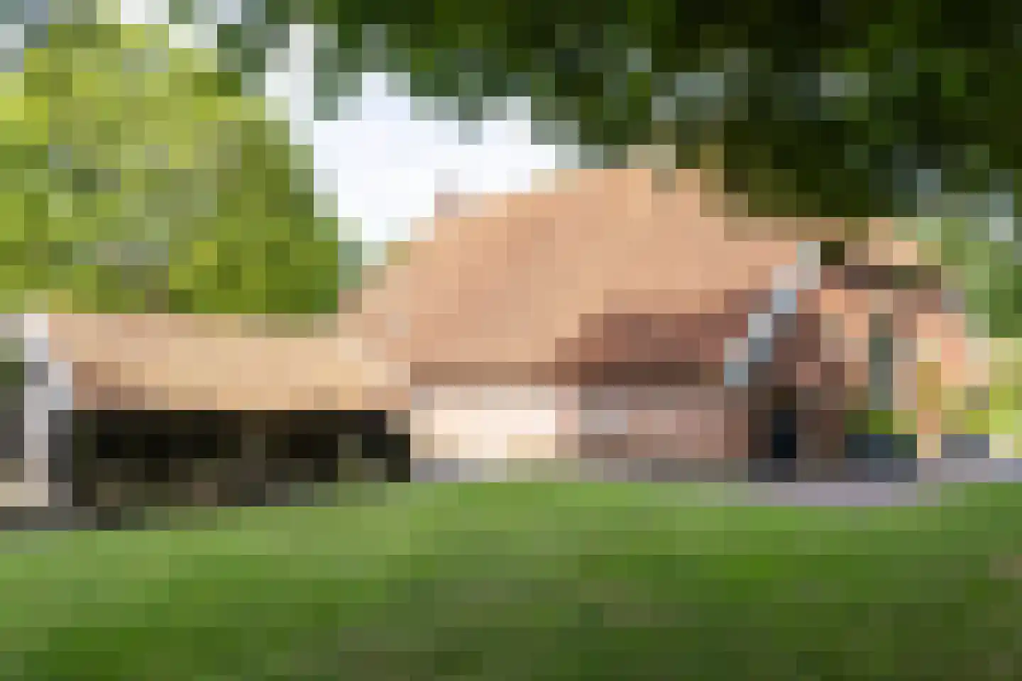 Dekkersweg 31 Haaksbergen thumbnail 72