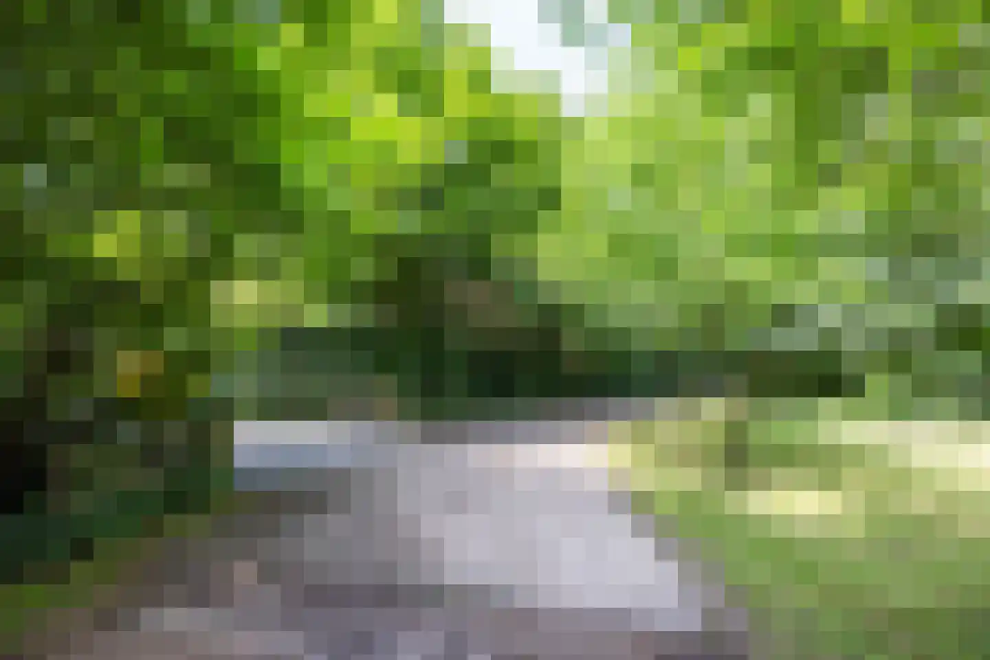 Dekkersweg 31 Haaksbergen thumbnail 78