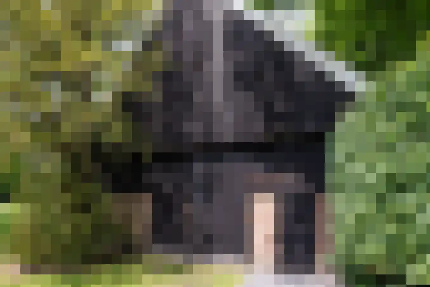 Dekkersweg 31 Haaksbergen thumbnail 79
