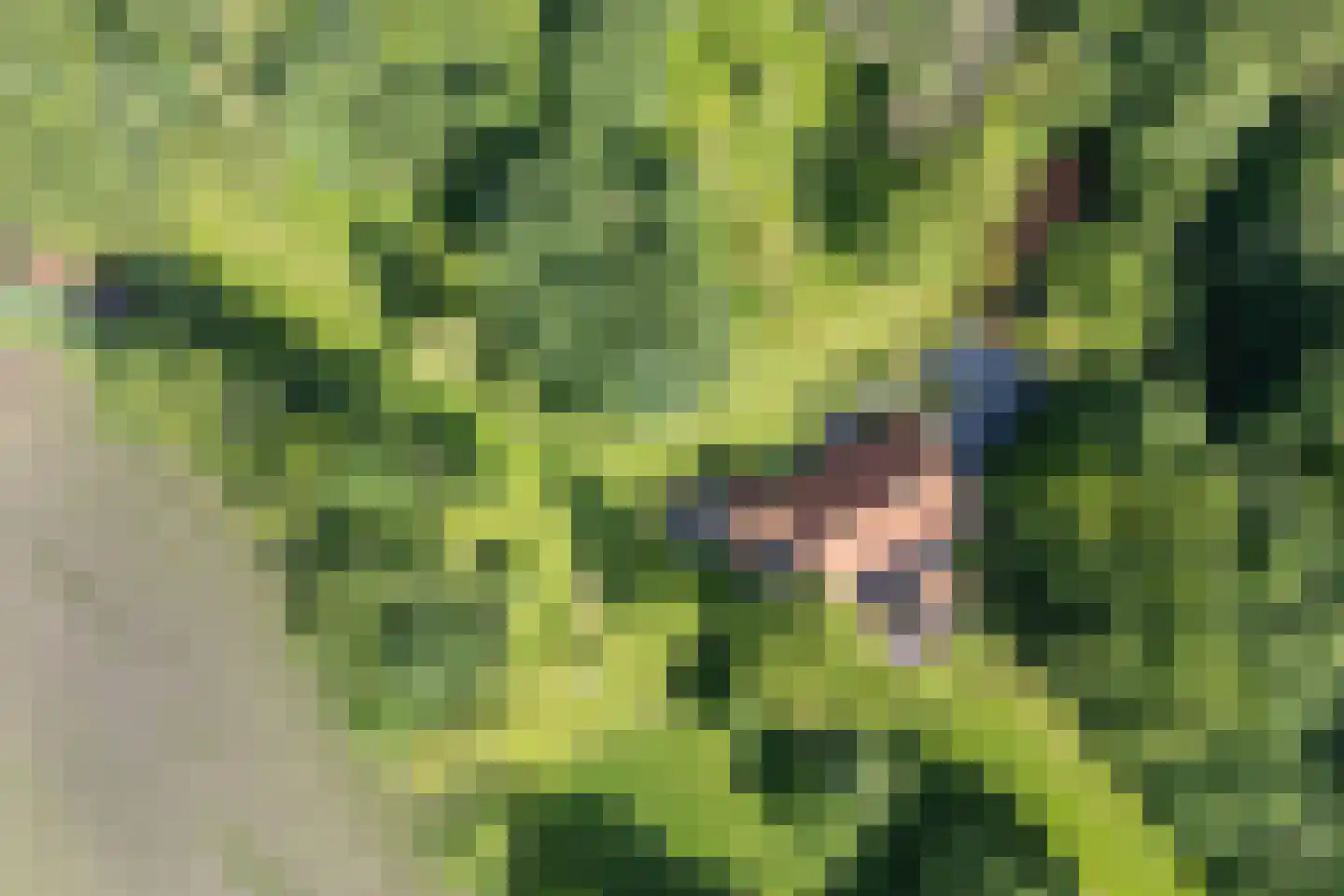 Dekkersweg 31 Haaksbergen thumbnail 80