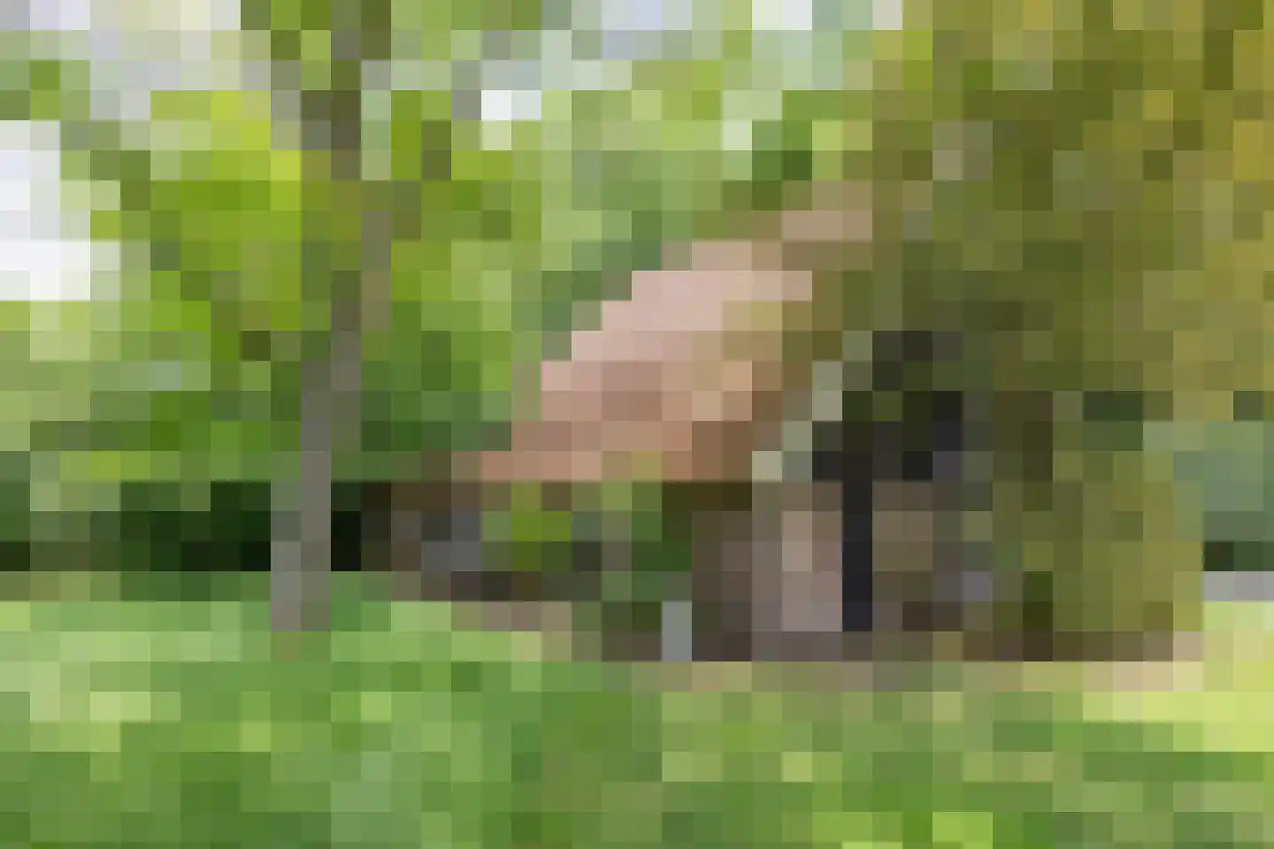 Dekkersweg 31 Haaksbergen thumbnail 81