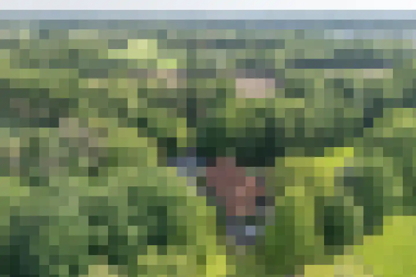 Dekkersweg 31 Haaksbergen thumbnail 82