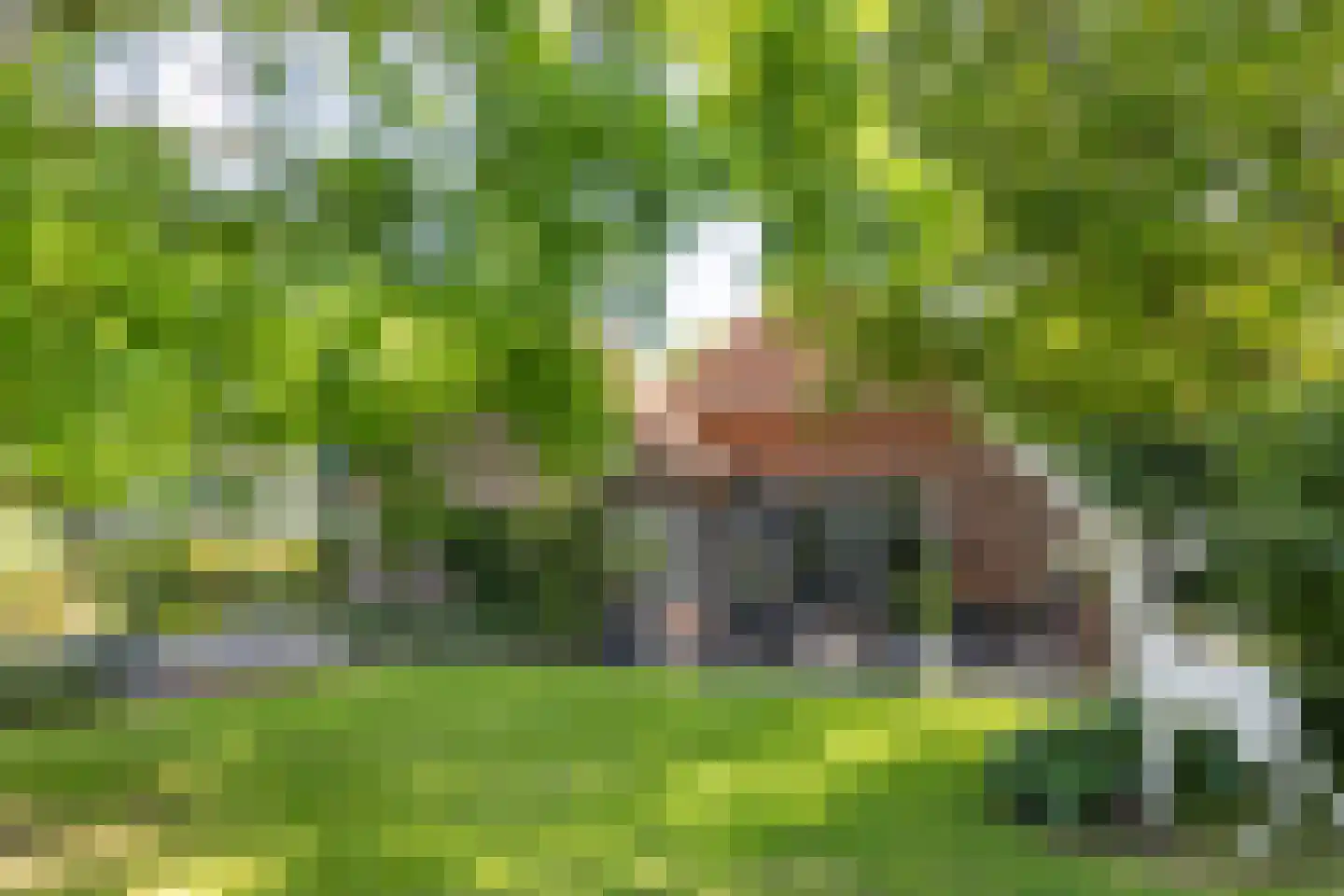Dekkersweg 31 Haaksbergen thumbnail 83