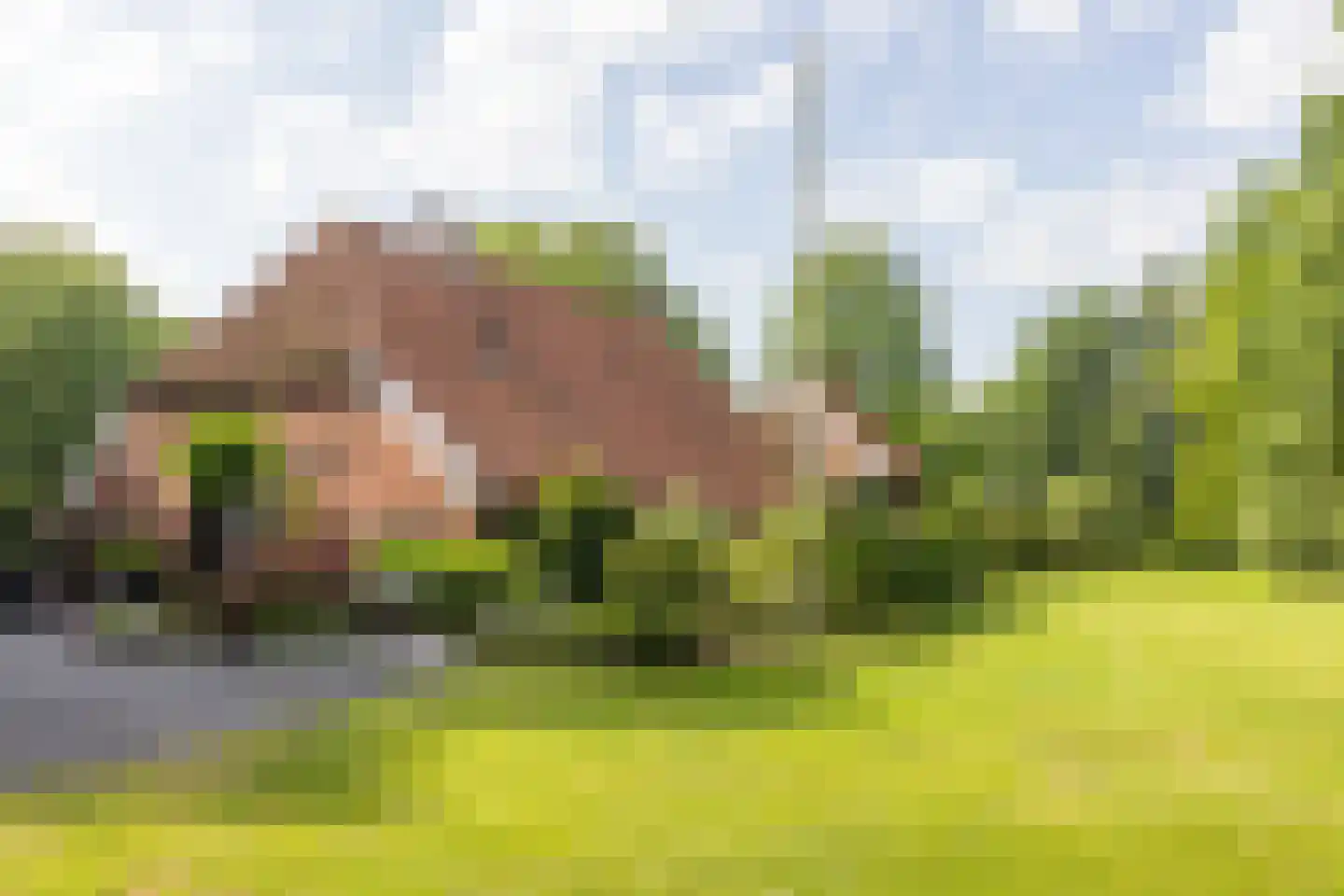Dekkersweg 31 Haaksbergen thumbnail 84