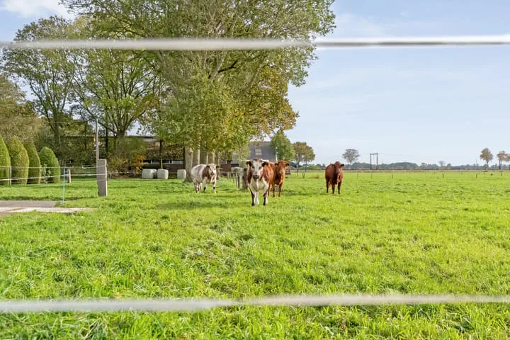Dekkersweg 8 Staphorst thumbnail 63