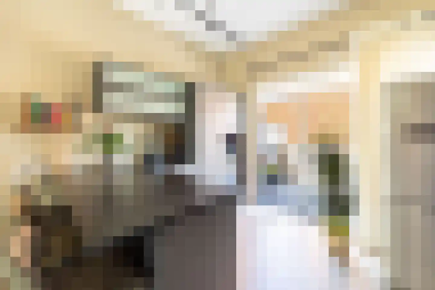 Delagoastraat 23 Den Haag thumbnail 18