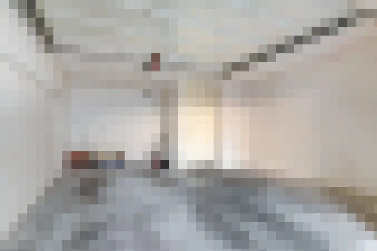 Delagoastraat 49 Den Haag thumbnail 32
