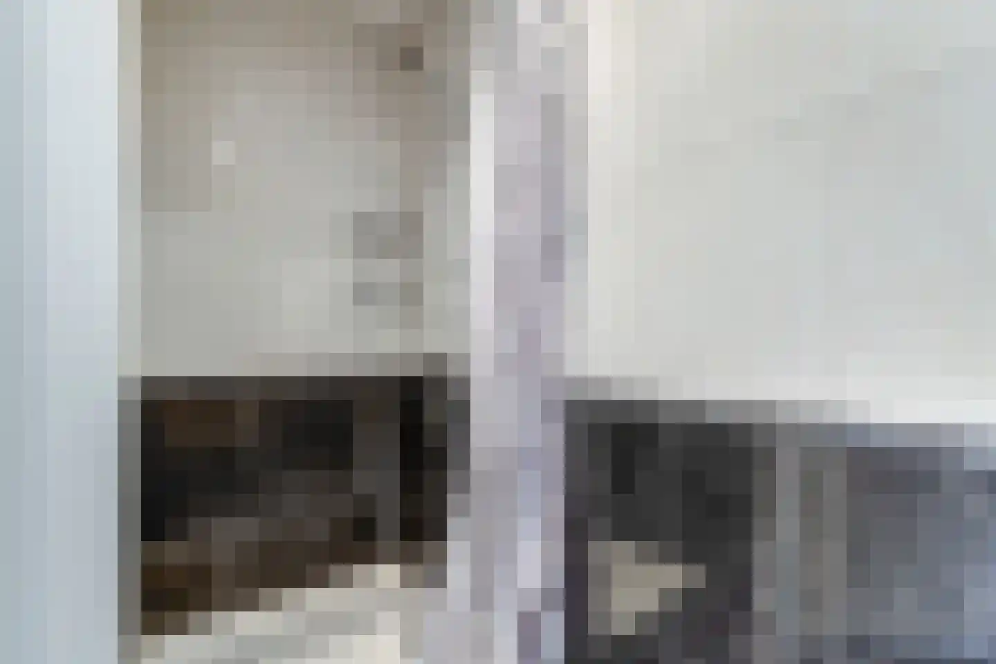 Delagoastraat 49 Den Haag thumbnail 8