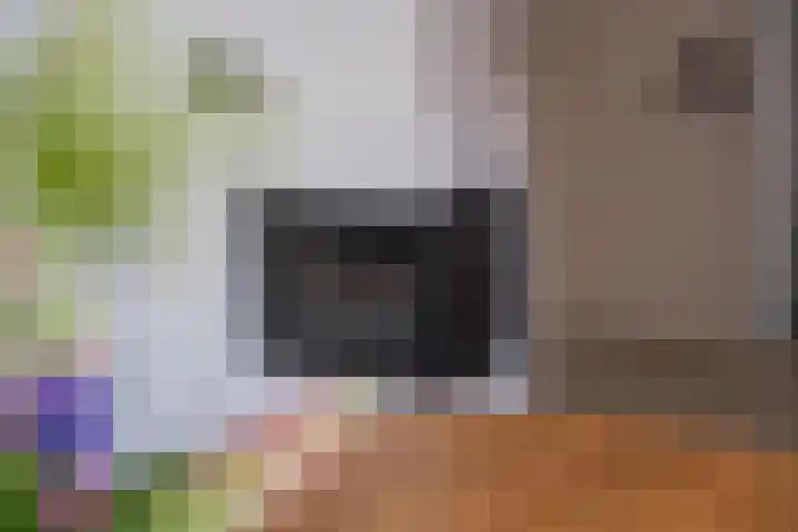 Delakkerstraat 7 Zoelen thumbnail 24