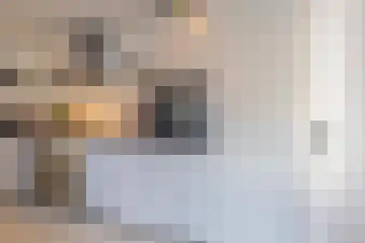 Delakkerstraat 7 Zoelen thumbnail 29