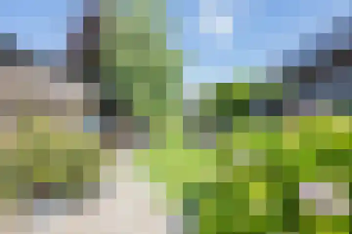 Delakkerstraat 7 Zoelen thumbnail 31