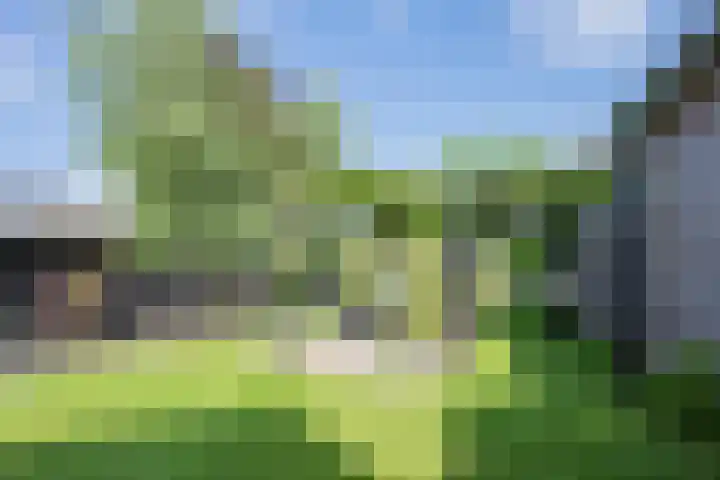 Delakkerstraat 7 Zoelen thumbnail 32