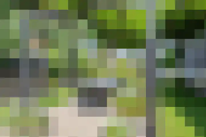 Delakkerstraat 7 Zoelen thumbnail 33