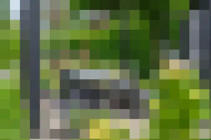 Delakkerstraat 7 Zoelen thumbnail 34