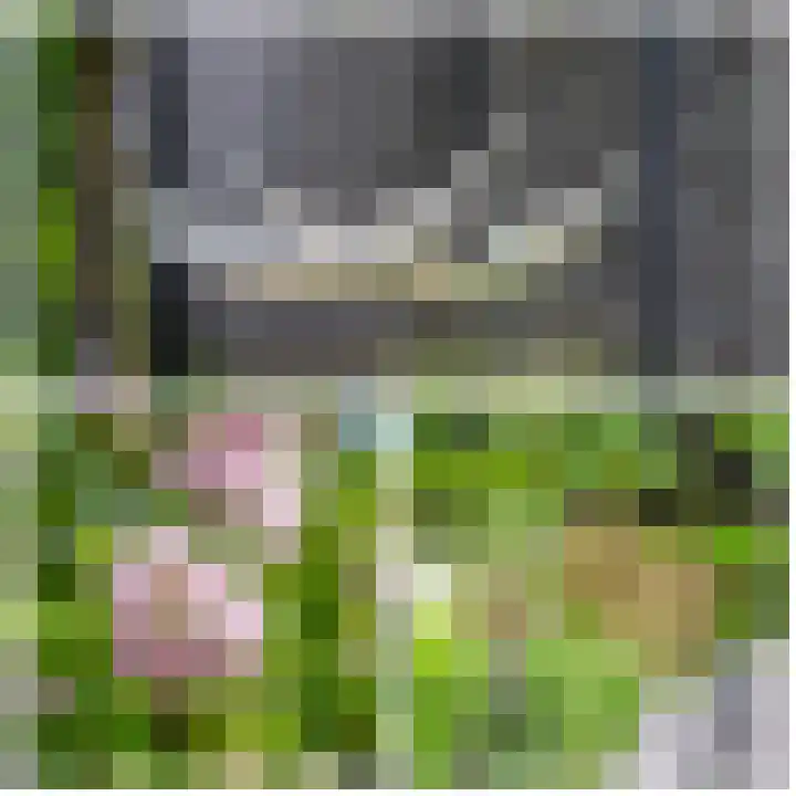 Delakkerstraat 7 Zoelen thumbnail 35