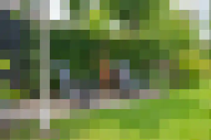 Delakkerstraat 7 Zoelen thumbnail 36