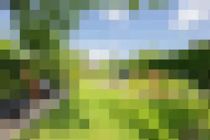 Delakkerstraat 7 Zoelen thumbnail 37