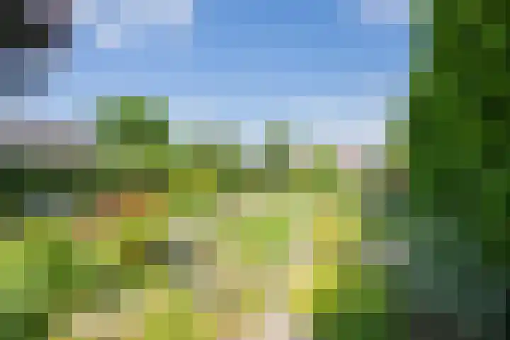 Delakkerstraat 7 Zoelen thumbnail 38