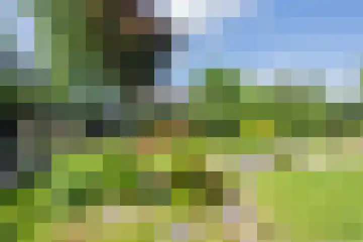 Delakkerstraat 7 Zoelen thumbnail 39