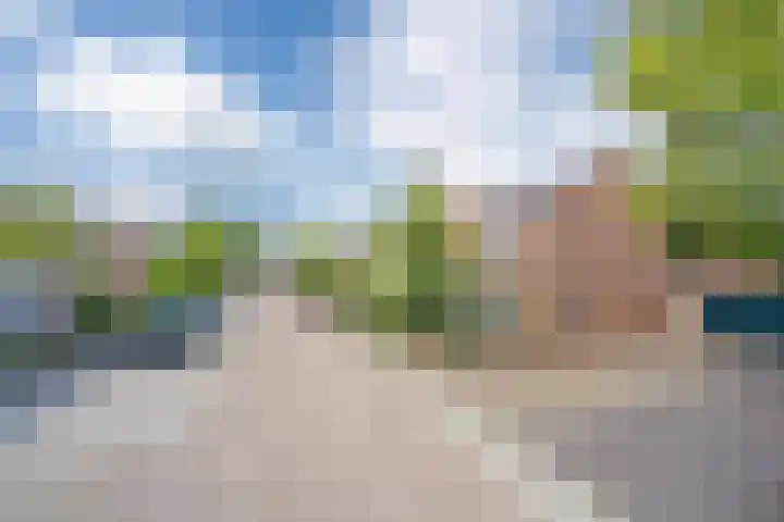 Delakkerstraat 7 Zoelen thumbnail 4