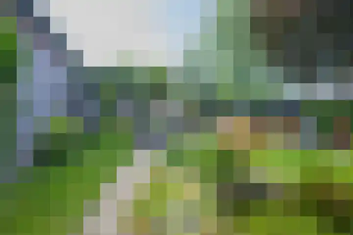 Delakkerstraat 7 Zoelen thumbnail 40