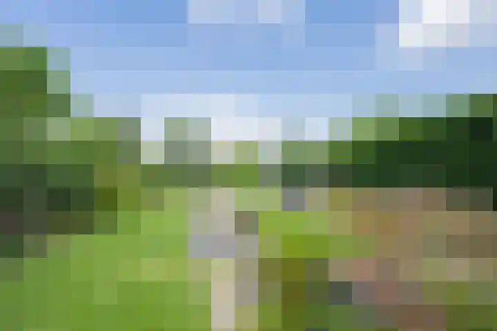 Delakkerstraat 7 Zoelen thumbnail 41