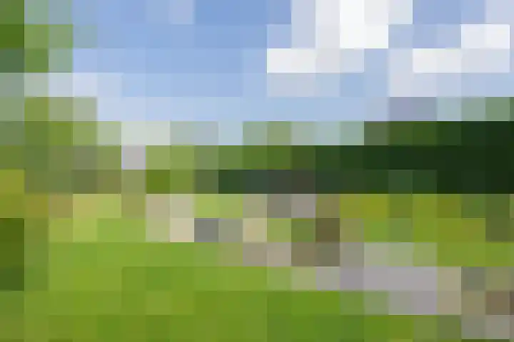 Delakkerstraat 7 Zoelen thumbnail 42